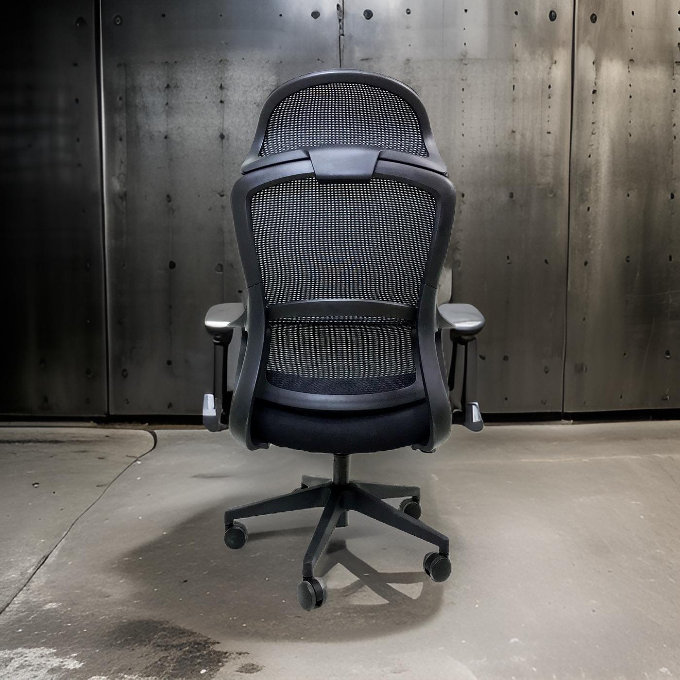 ESLOVA CON CABECERA NEGRO